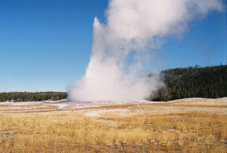 [In an open field a geyser is spewing thick white steam into the cloudless blue sky above.]